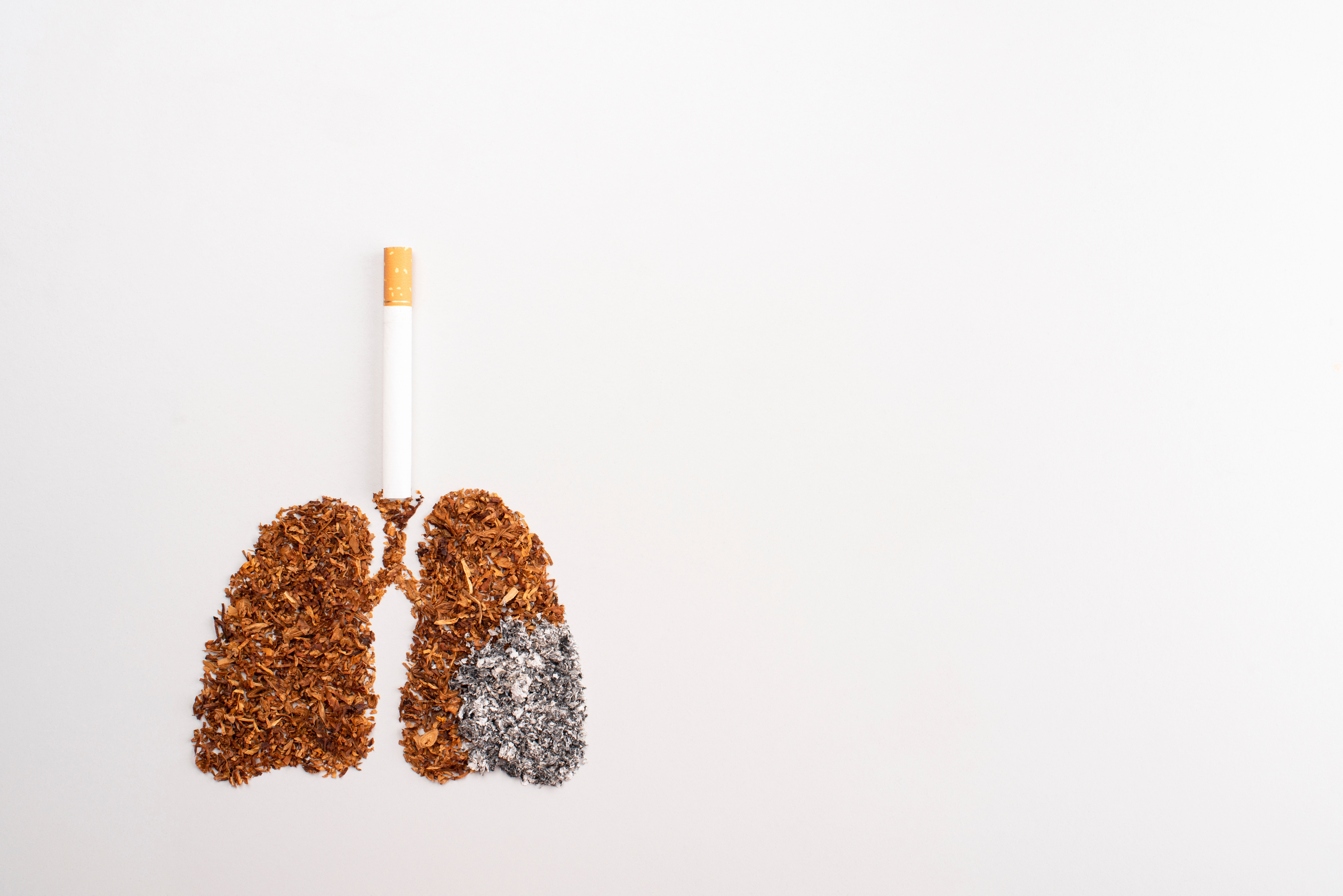 Everything You Need to Know to Prevent Lung Cancer