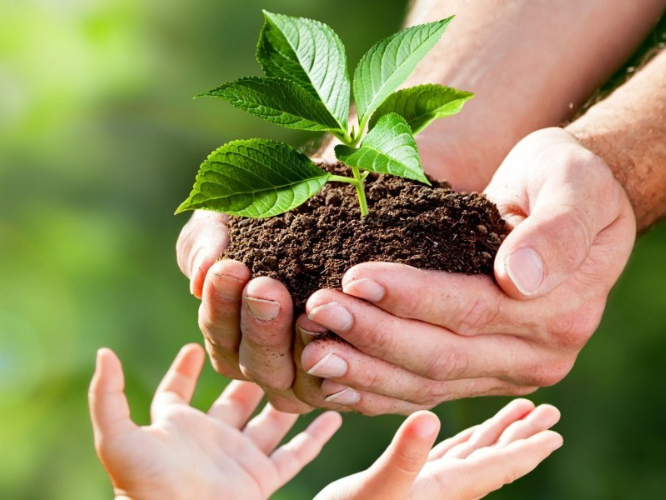 Sustainability and Islam